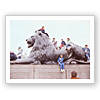 トラファルガー広場のライオン/ロンドン